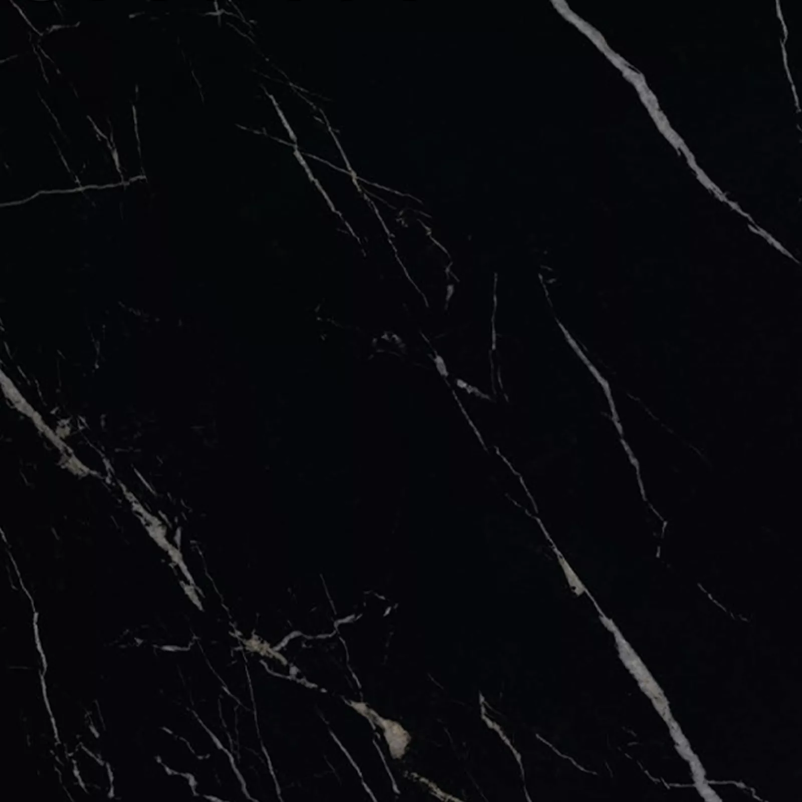 Black Calacatta