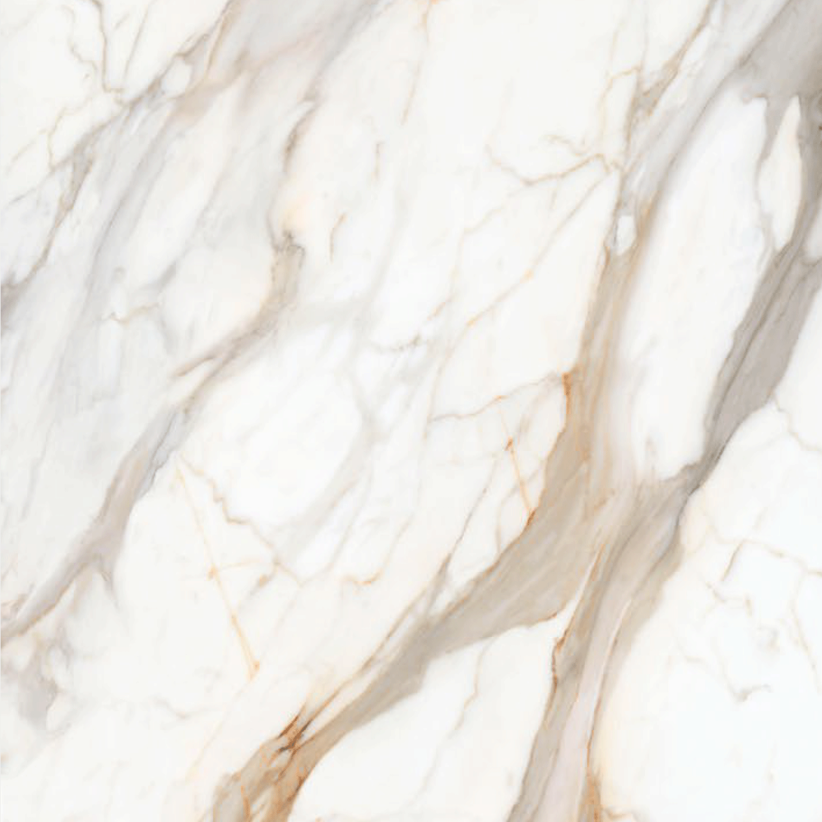 Calacatta Borghini