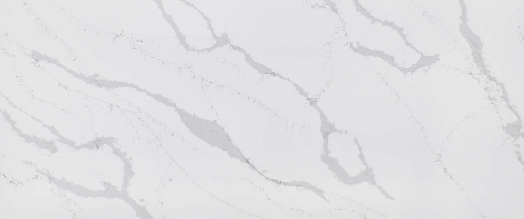 2219 Calacatta Venezia