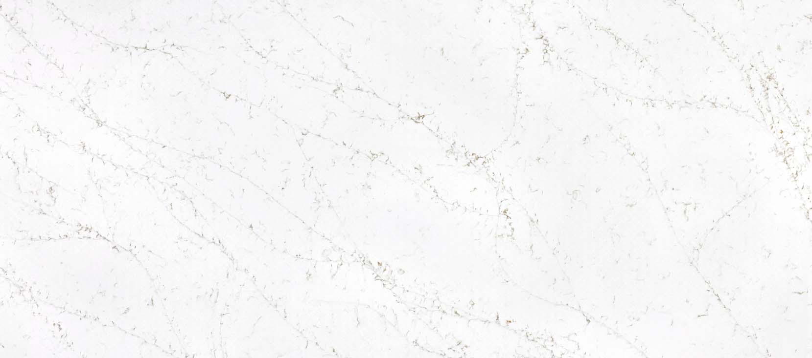 8210 Statuario Venetian
