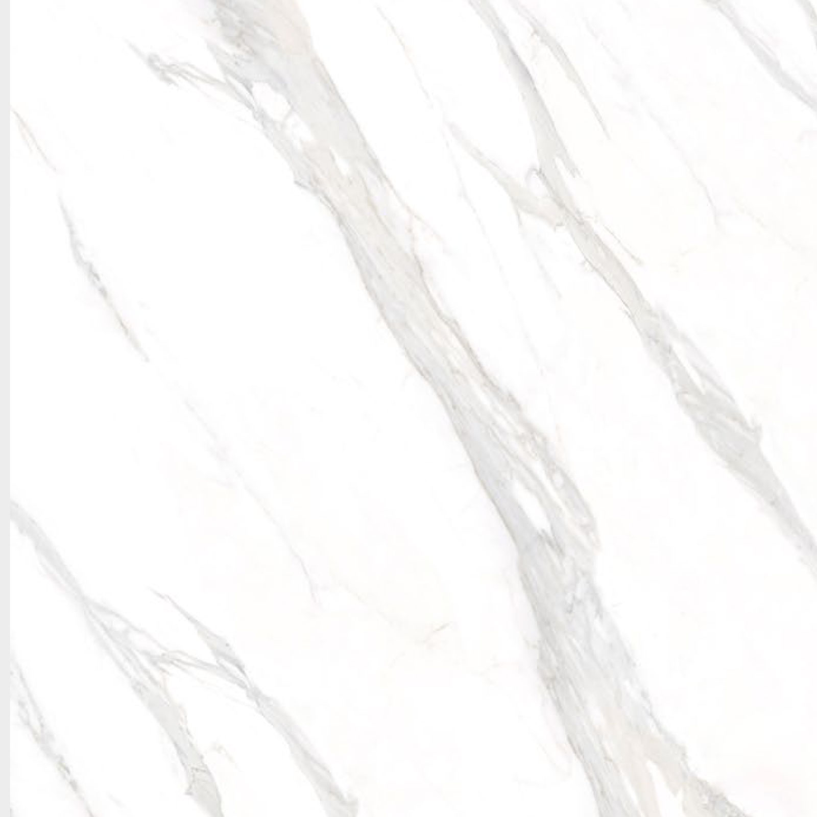 Calacatta Classic