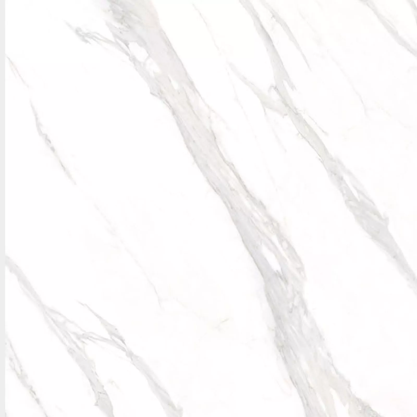 Calacatta Classic