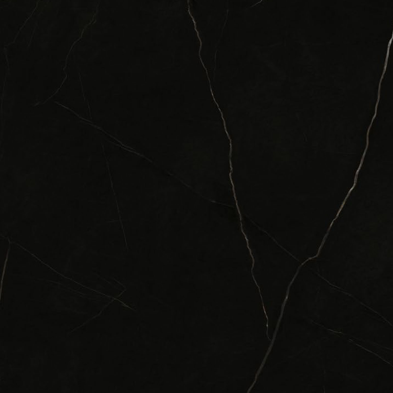 Elegant Black