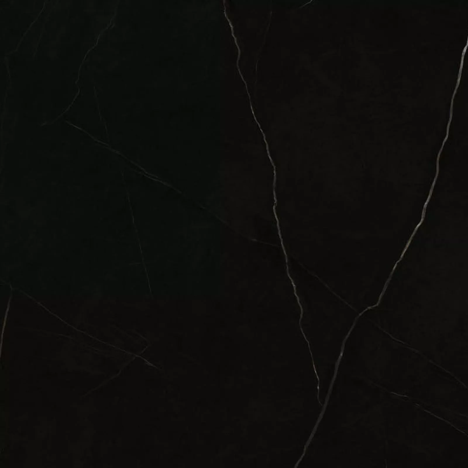 Elegant Black