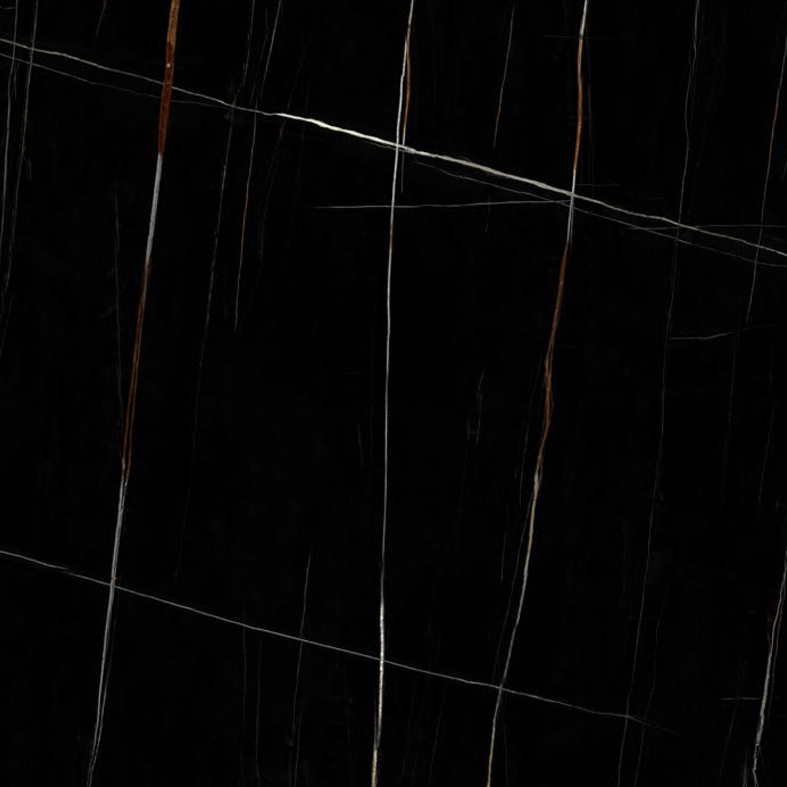Sahara Noir