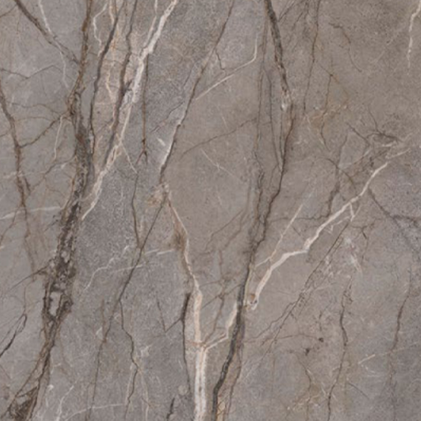 Silver Root