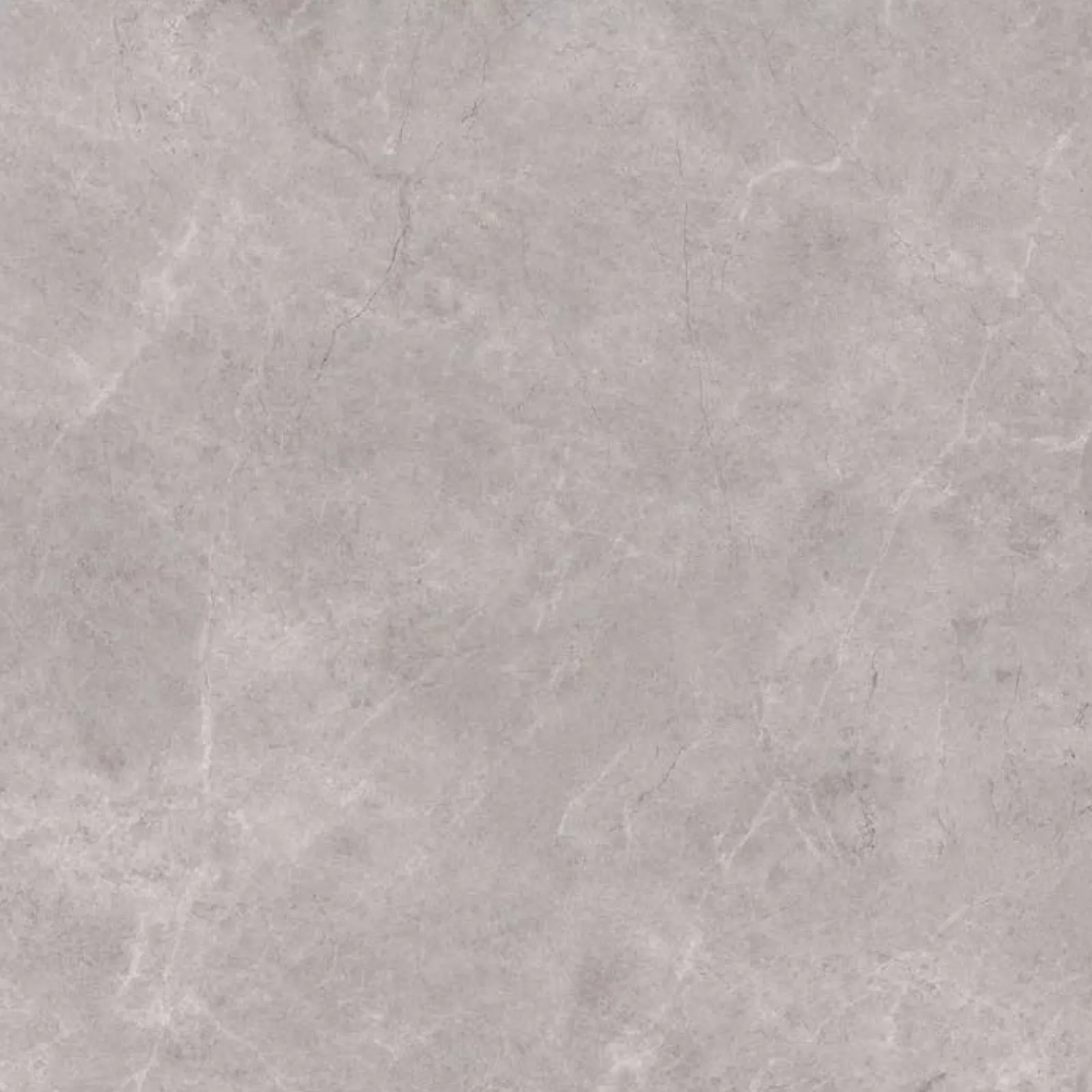 Tundra Grey