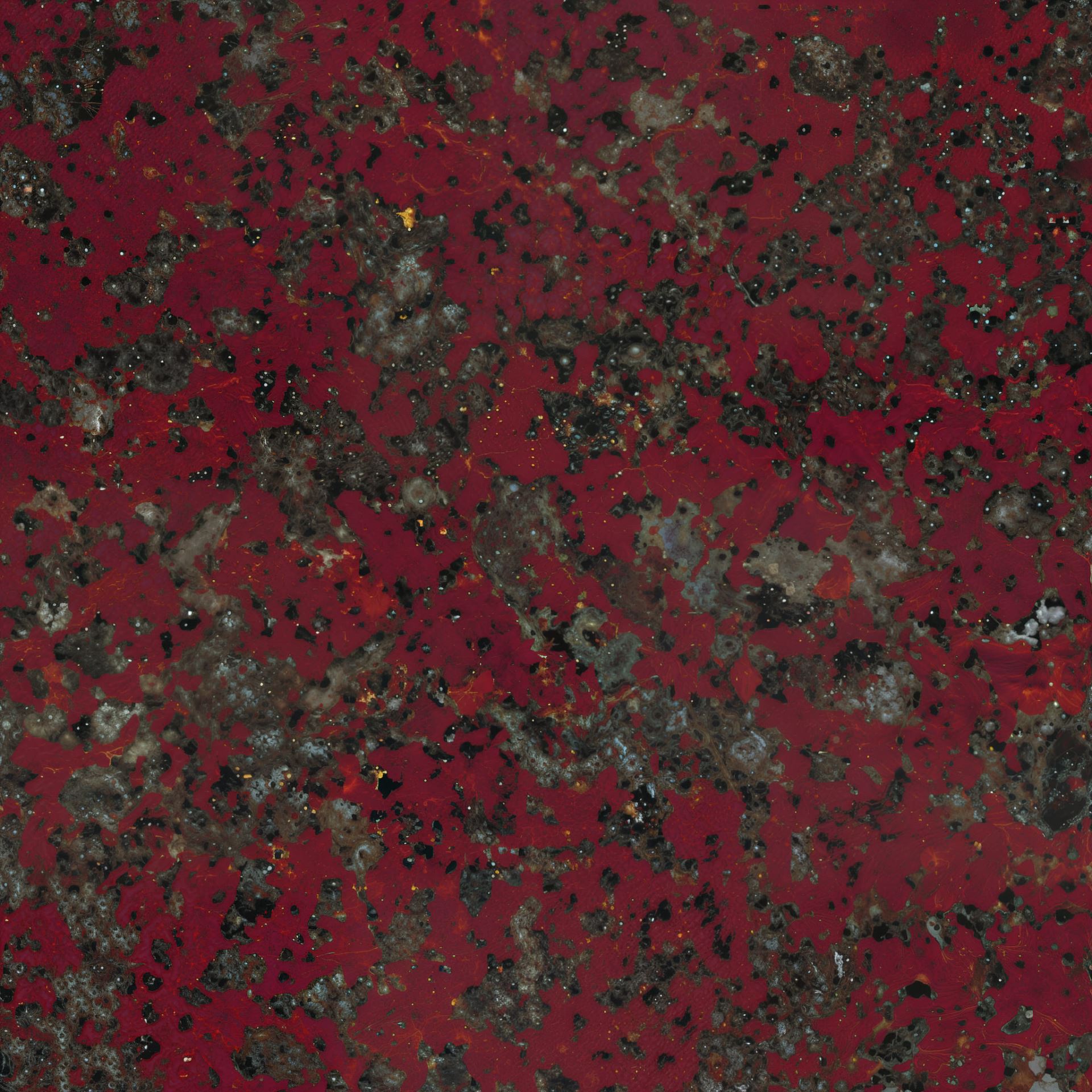 African Red