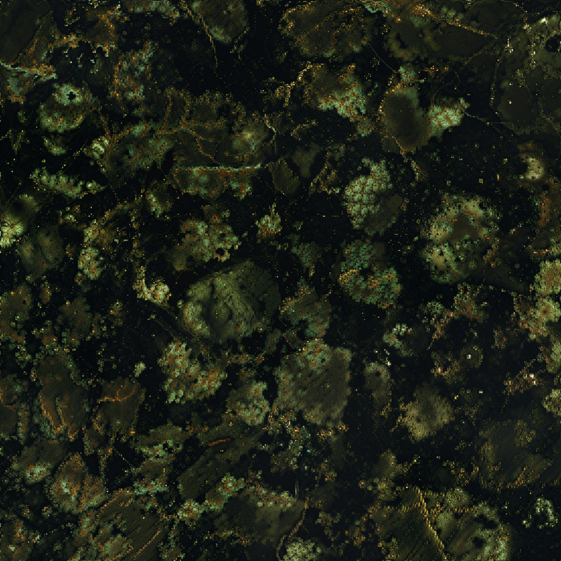 Baltic Green